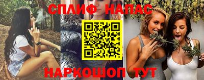 a pvp Краснознаменск