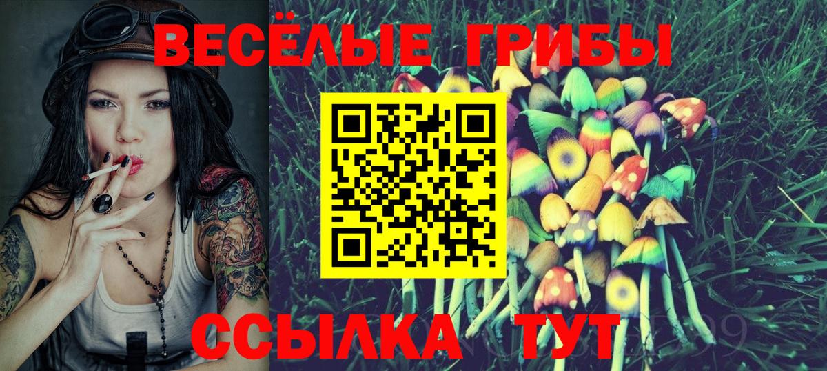 Псилоцибиновые грибы Cubensis  Псилоцибиновые грибы Psilocybine cubensis  Вход с VPN  Златоуст 